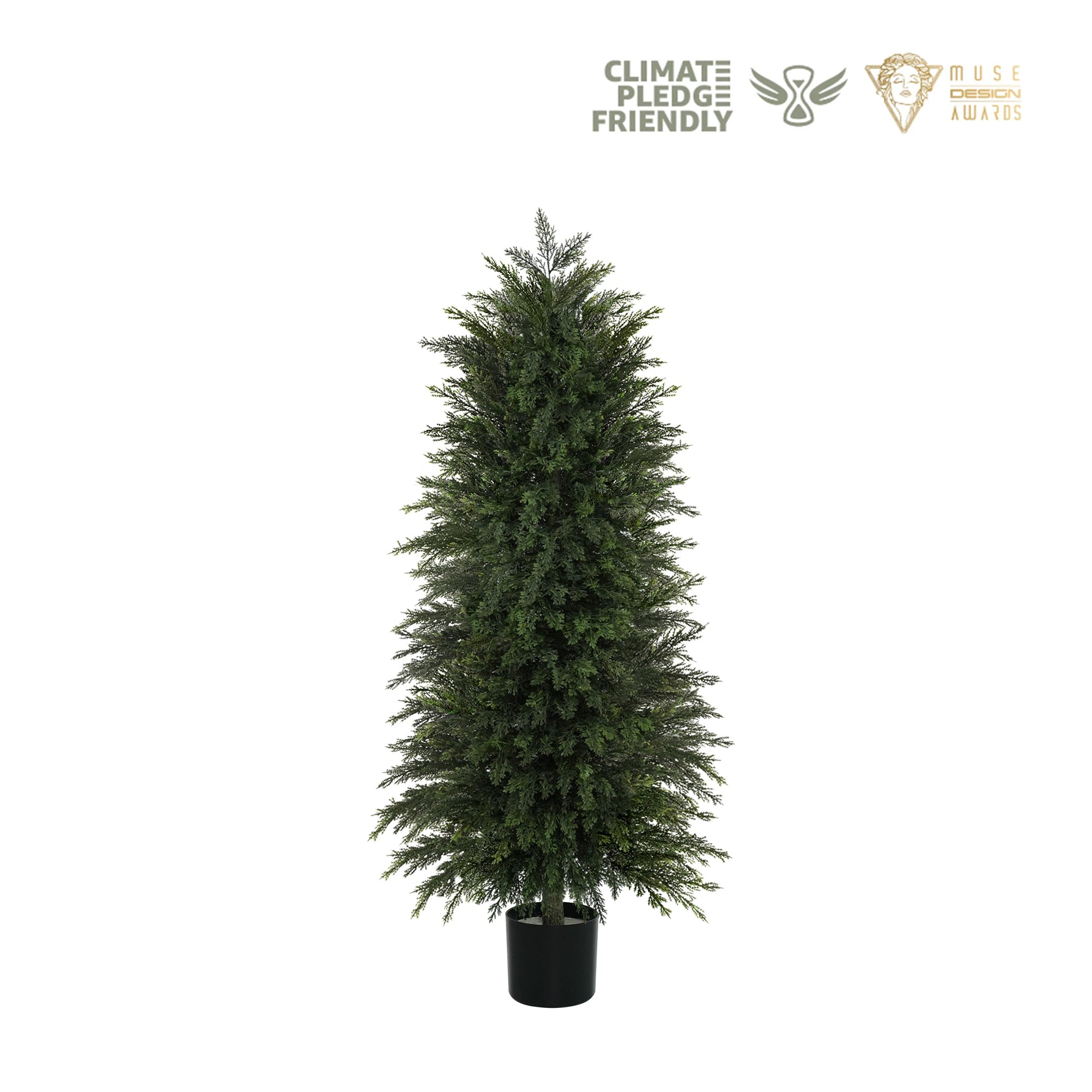 Vitalismo Weeping Cedar Tree
